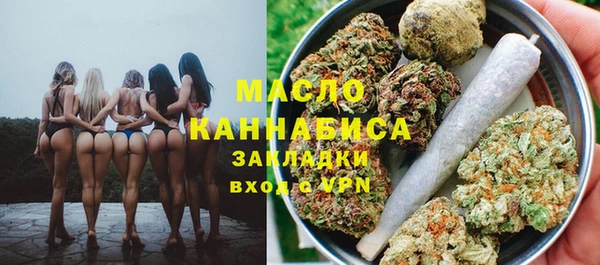 молекула духа Алексеевка